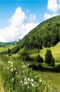 Читать онлайн книгу Михаль Отсо (СИ) автор "Arcobaleno" Книга Михаль Отсо (СИ)