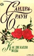 Читать онлайн книгу Как две капли воды автор Браун Сандра Книга Как две капли воды