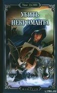 Читать онлайн книгу Убить некроманта автор Далин Максим Андреевич Книга Убить некроманта