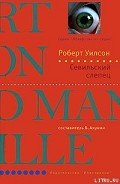 Читать онлайн книгу Севильский слепец автор Уилсон Роберт Чарльз Книга Севильский слепец